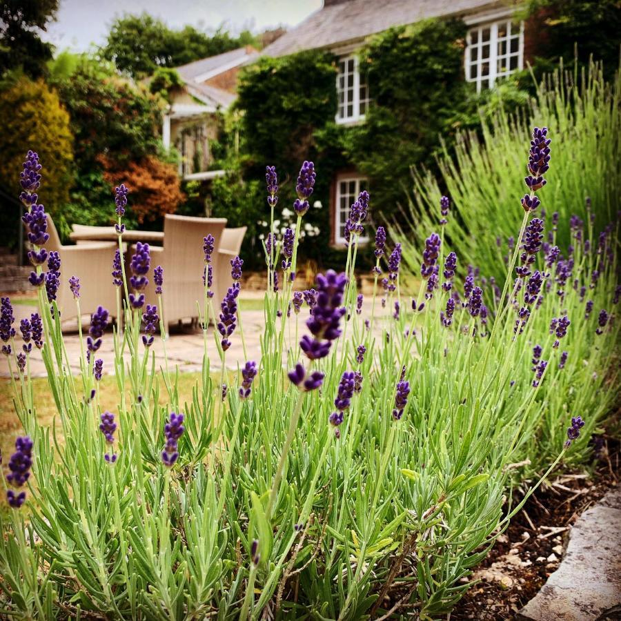 Boscundle Manor Ξενοδοχείο St Austell Εξωτερικό φωτογραφία
